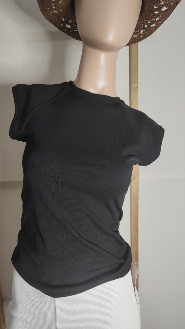Musculosa antonia
